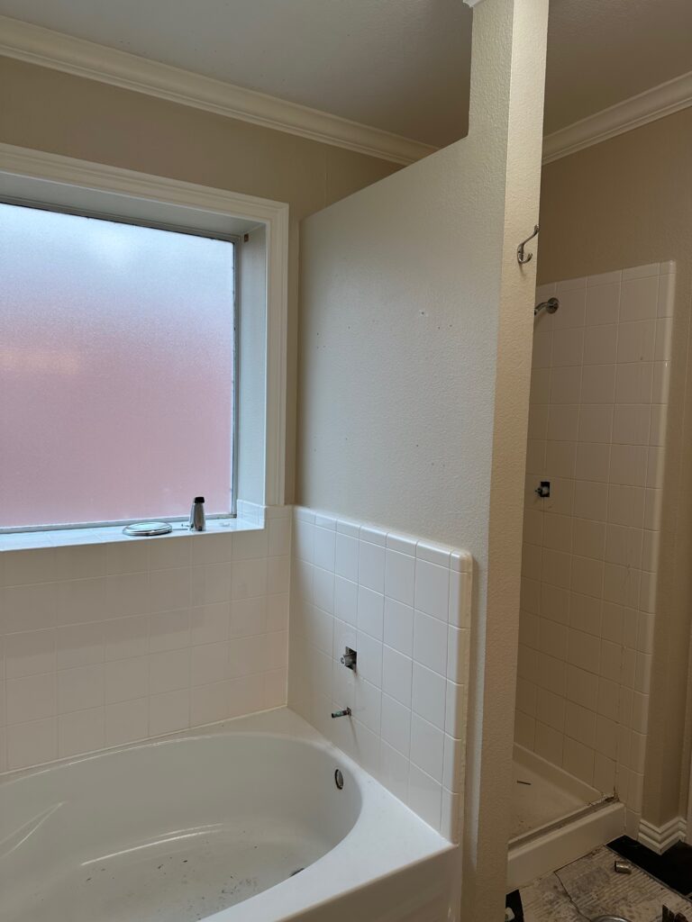 Tub and shower before remodeling